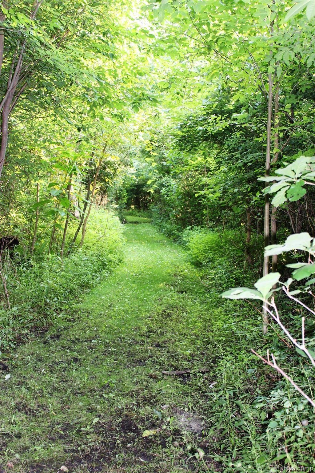 10144 West Allen Road Fowlerville, MI 48836 - Photo 32 of 36 trail 2.JPG