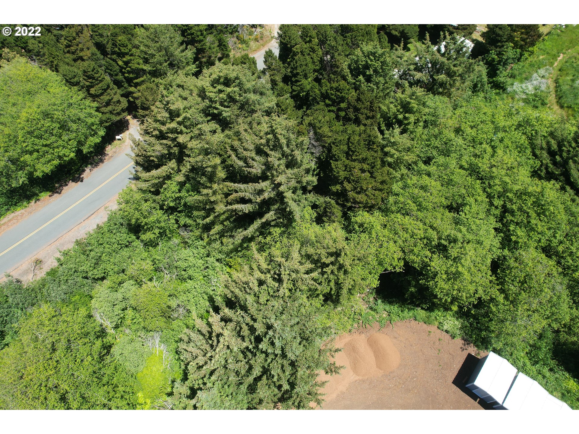 0 Grange Road, Unit 2000 Gold Beach, OR 97444 - Photo 17 of 27 a view of a yard with plants