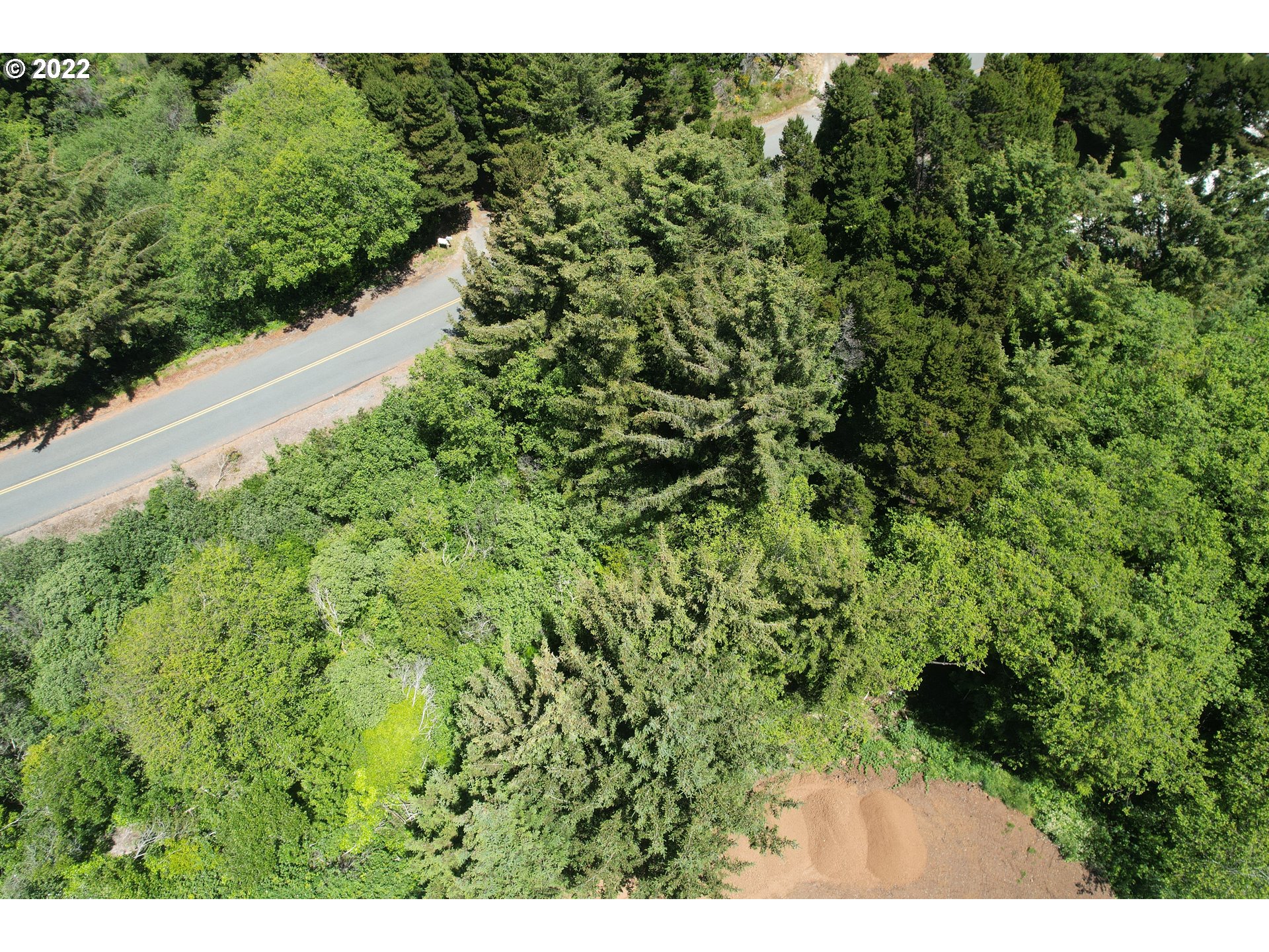 0 Grange Road, Unit 2000 Gold Beach, OR 97444 - Photo 18 of 27 a view of a lush green forest