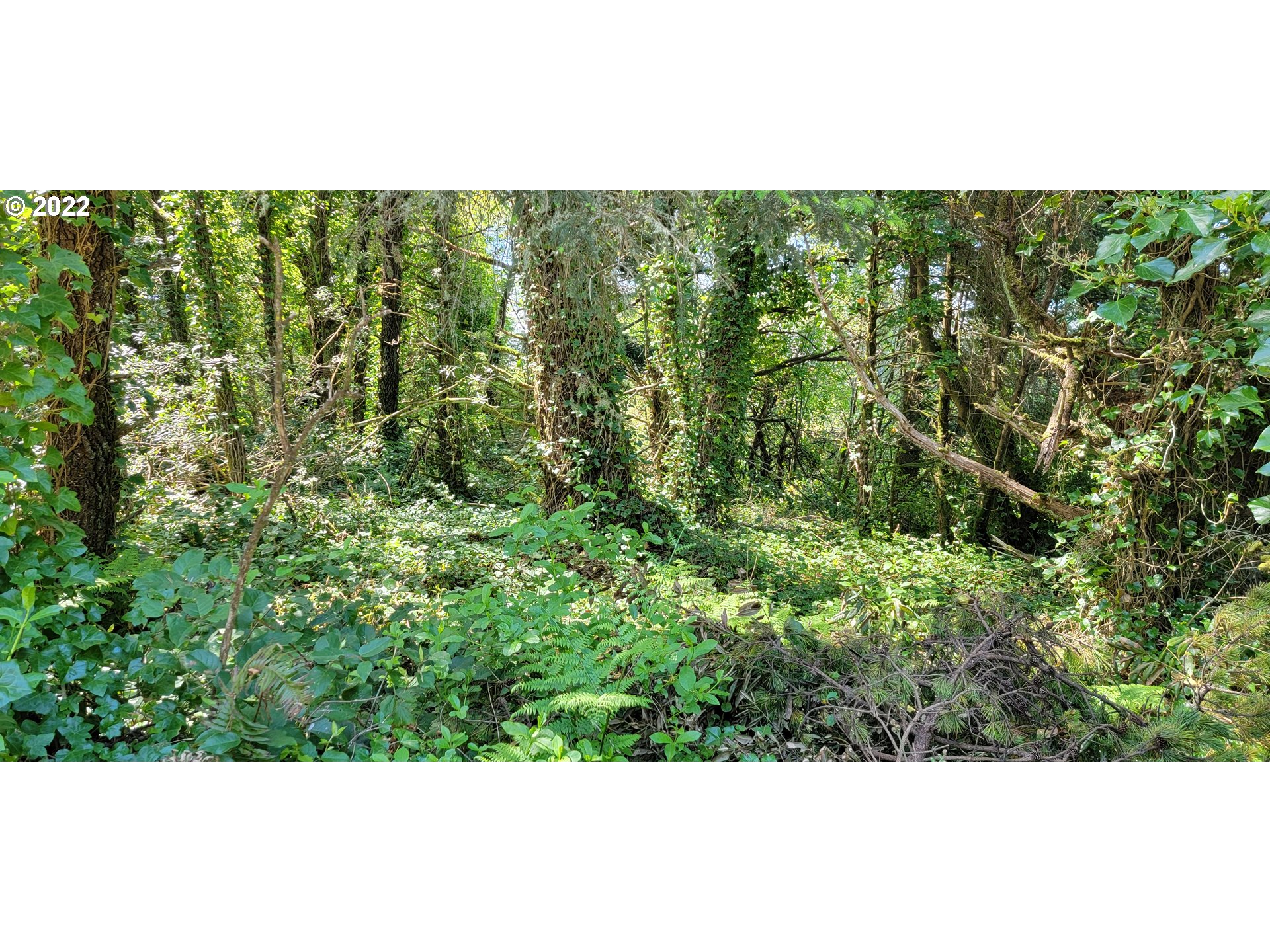 0 Grange Road, Unit 2000 Gold Beach, OR 97444 - Photo 8 of 27 a view of a green field with lots of bushes