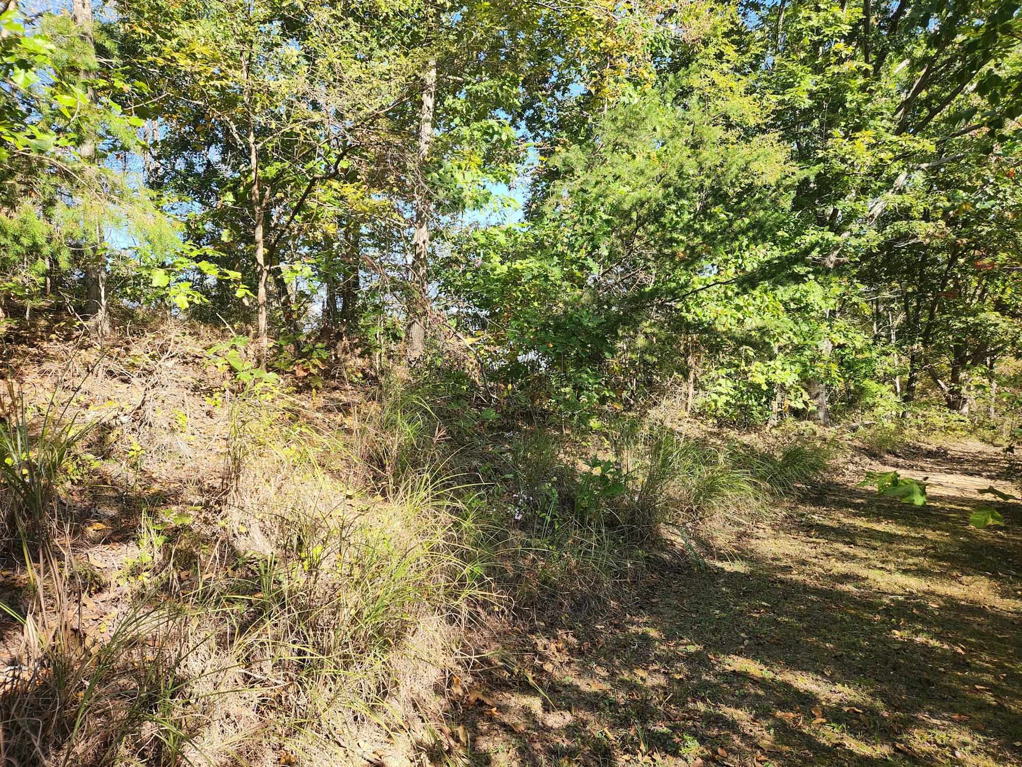 0 Kiser Fork Road Grayson, KY 41143 - Photo 26 of 48 Gallery Image 26