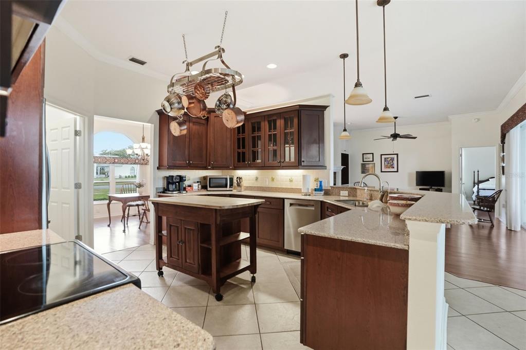 14228 Presteign Lane Spring Hill, FL 34609 - Photo 27 of 89