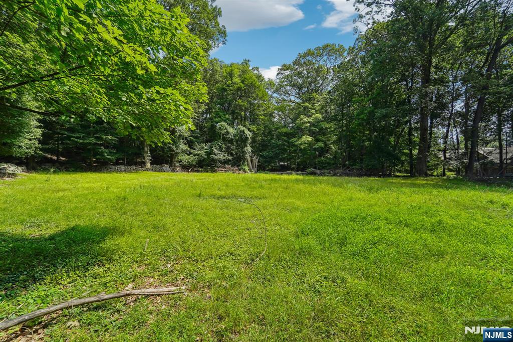 724 Tall Oaks Court Franklin Lakes, NJ 07417 - Photo 40 of 43