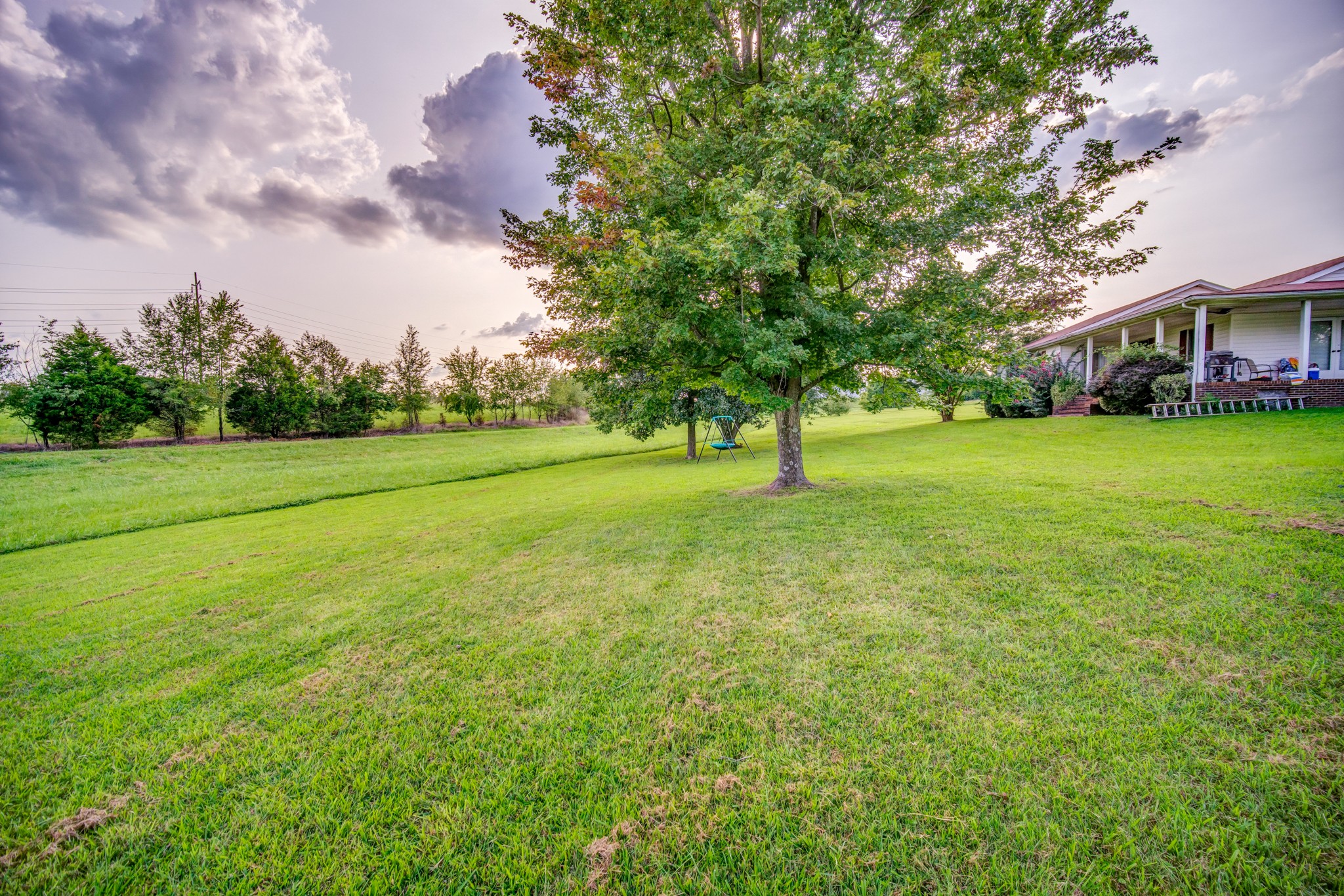 3545 Kelton Jackson Road Springfield, TN 37172 - Photo 40 of 47 a view of a field with a tree in the background