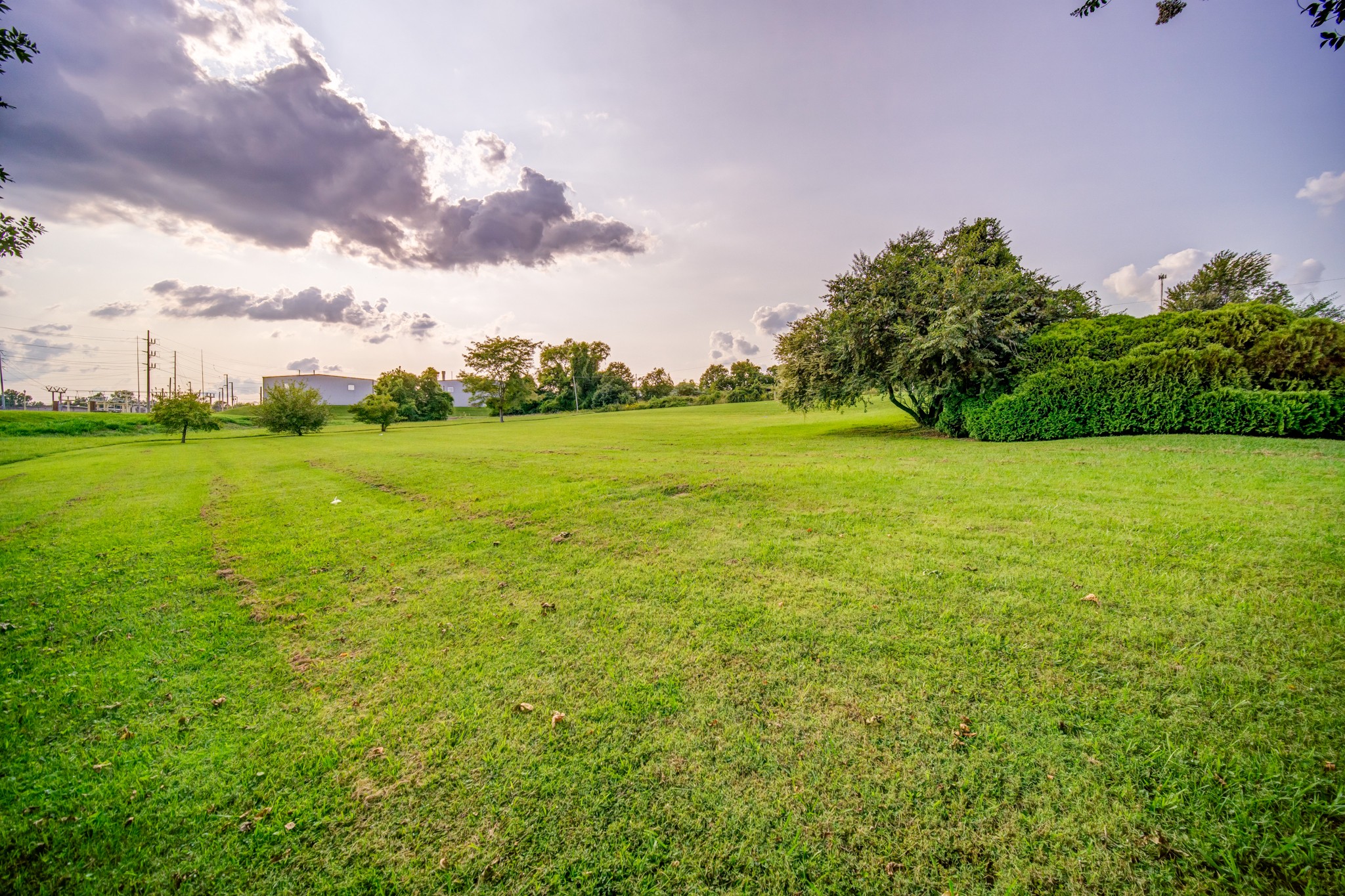 3545 Kelton Jackson Road Springfield, TN 37172 - Photo 45 of 47 a view of a field with an trees in front of it