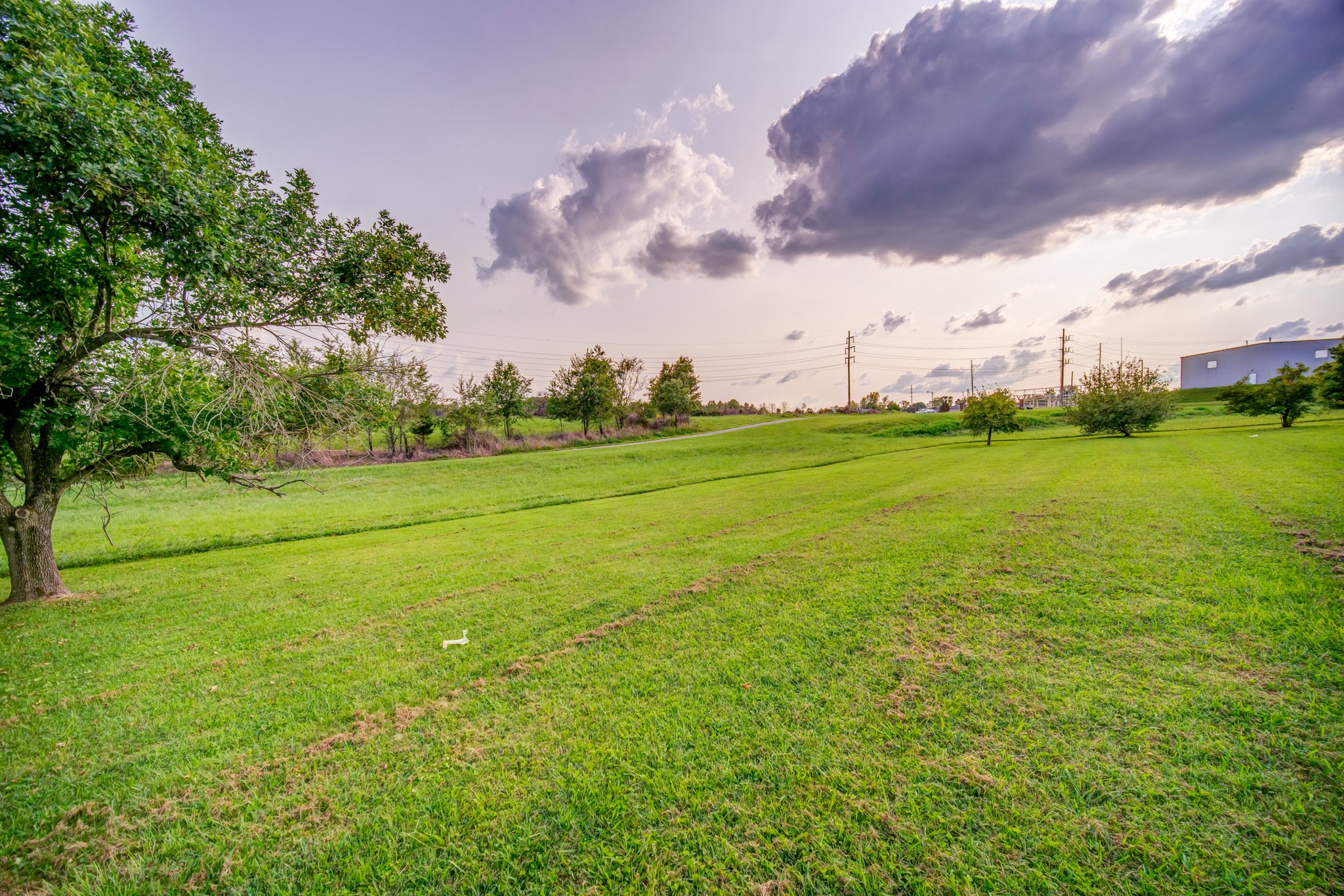3545 Kelton Jackson Road Springfield, TN 37172 - Photo 46 of 47 a view of a big yard with a big yard and large trees