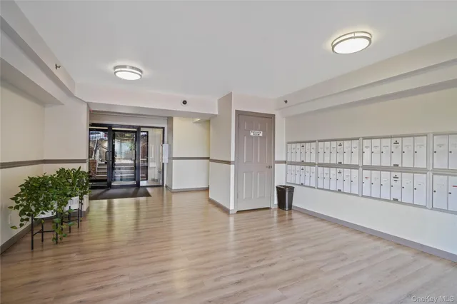 a view of an empty room with wooden floor and a potted plant