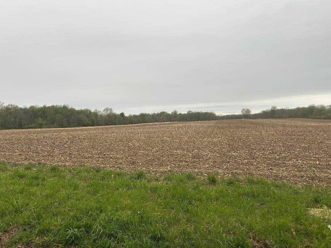 0 North County Line Road Sunbury, OH 43074 - Photo 2 of 5 thumbnail