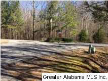 Cheshire Lane Pelham, AL 35124 - Photo 11 of 17