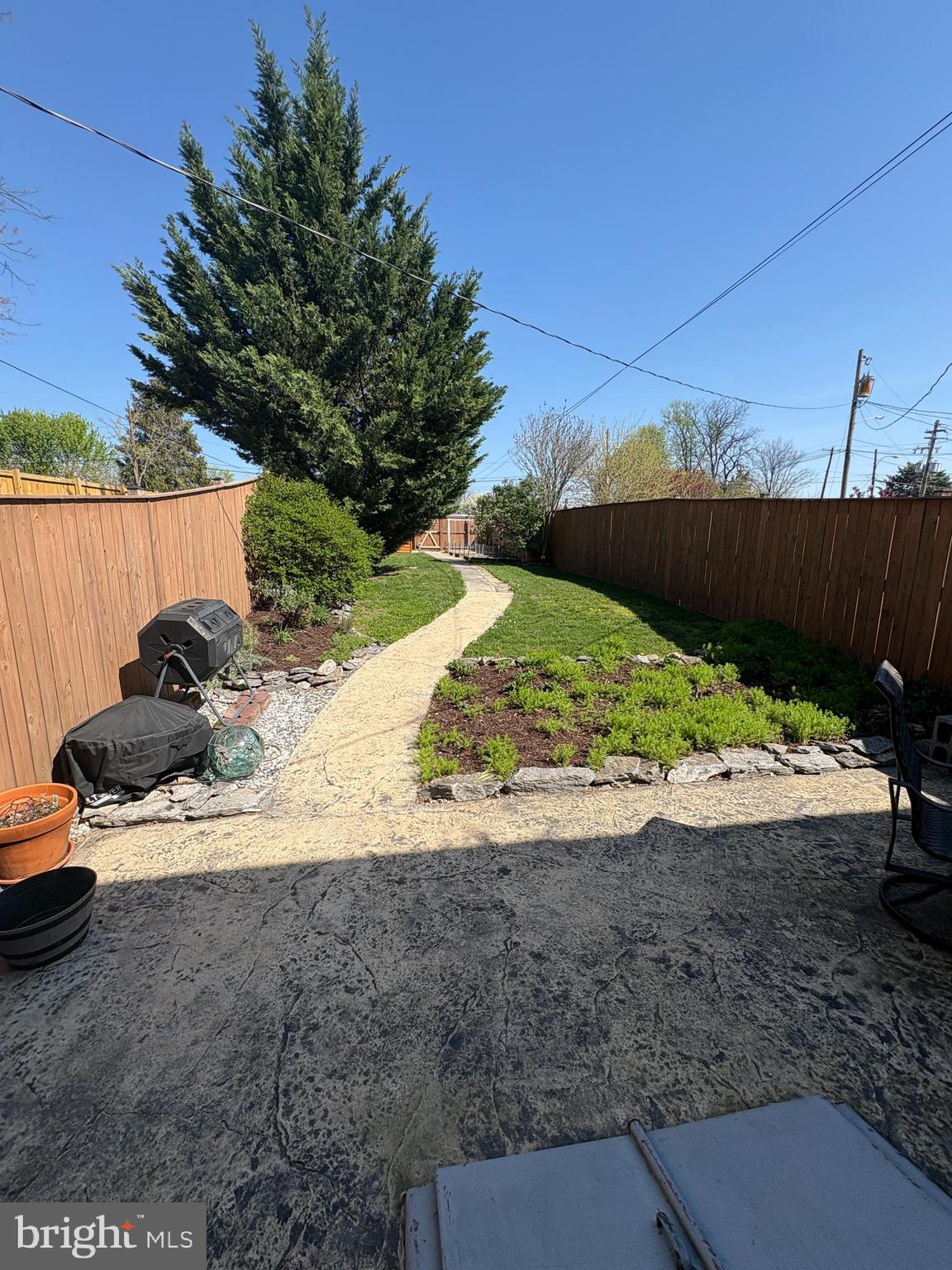 225 East 5th Street Frederick, MD 21701 - Photo 13 of 20 a view of a backyard with plants and a car parked