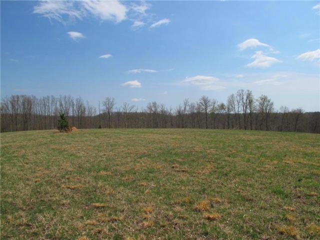 4044 Skelley Road Santa Fe, TN 38482 - Photo 1 of 11