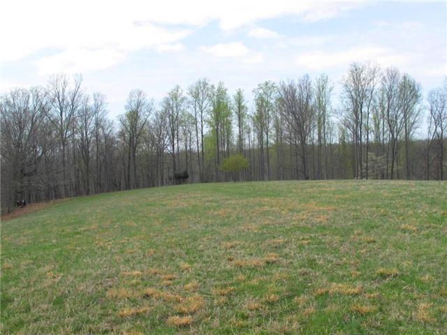 4044 Skelley Road Santa Fe, TN 38482 - Photo 11 of 11