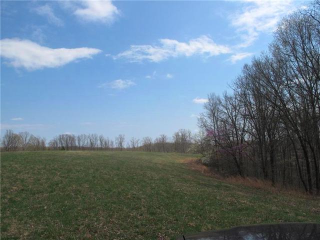 4044 Skelley Road Santa Fe, TN 38482 - Photo 3 of 11