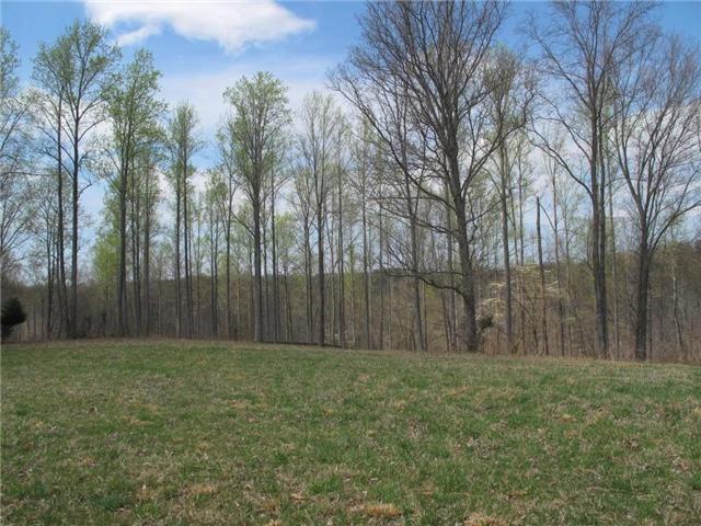 4044 Skelley Road Santa Fe, TN 38482 - Photo 4 of 11