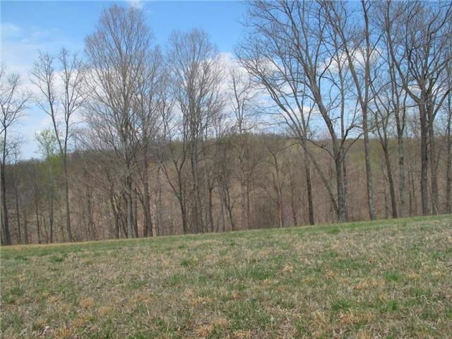 4044 Skelley Road Santa Fe, TN 38482 - Photo 5 of 11