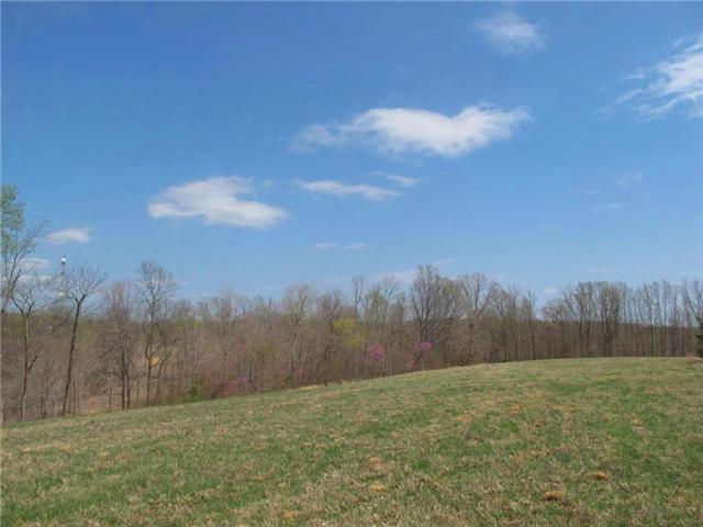 4044 Skelley Road Santa Fe, TN 38482 - Photo 6 of 11
