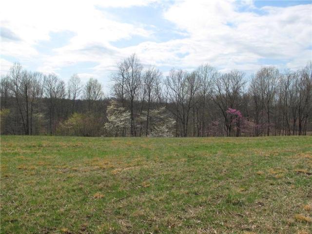 4044 Skelley Road Santa Fe, TN 38482 - Photo 7 of 11
