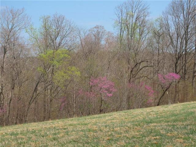 4044 Skelley Road Santa Fe, TN 38482 - Photo 8 of 11