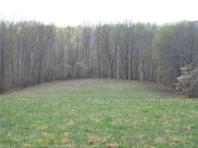 4044 Skelley Road Santa Fe, TN 38482 - Photo 9 of 11