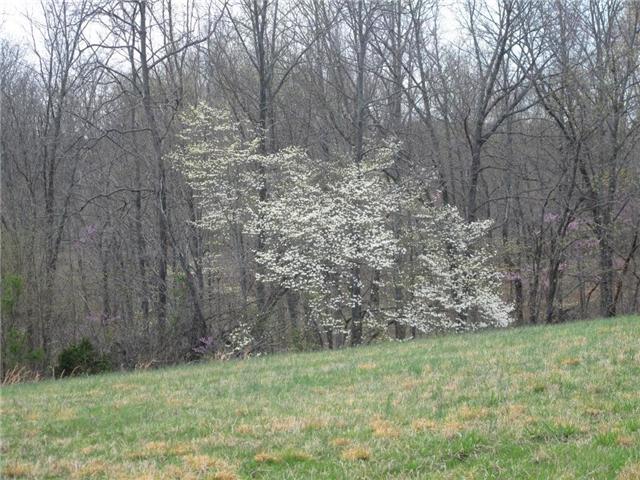 4044 Skelley Road Santa Fe, TN 38482 - Photo 10 of 11