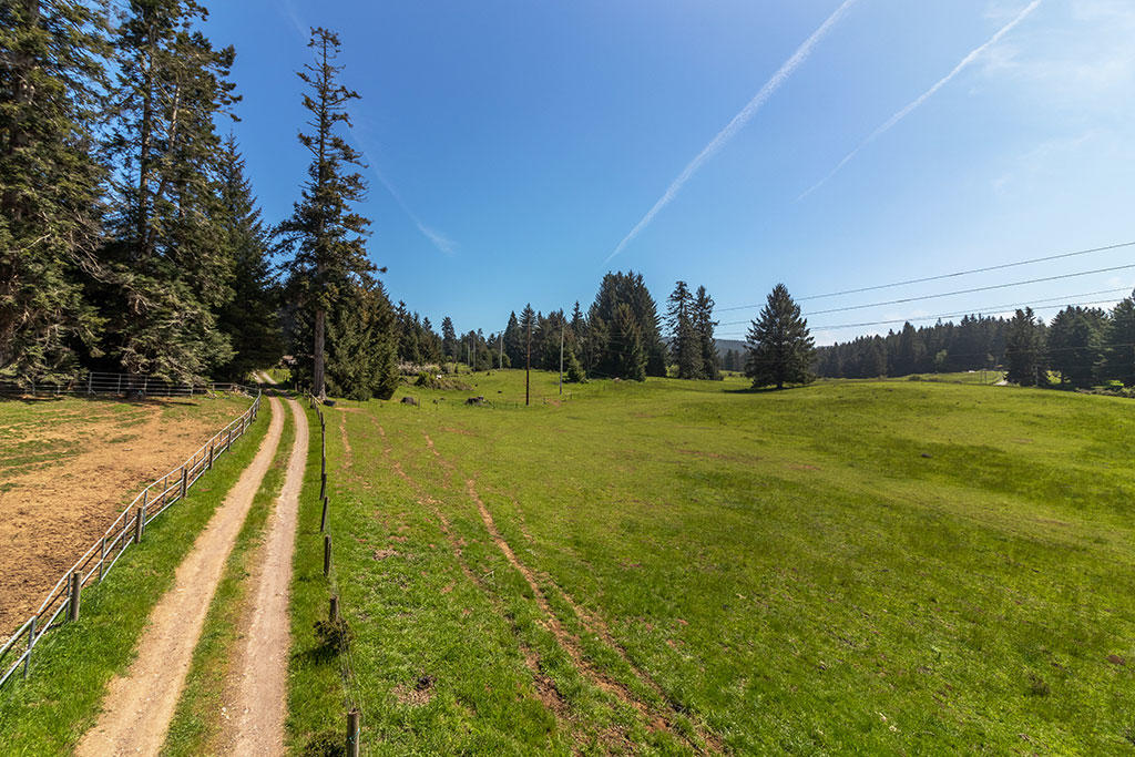 1255 Alder Grove Road Arcata, CA 95521 - Photo 7 of 72