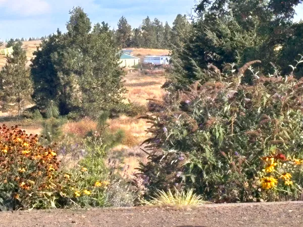 $699,000 | 37765 Halme Drive East, Davenport, WA 99122