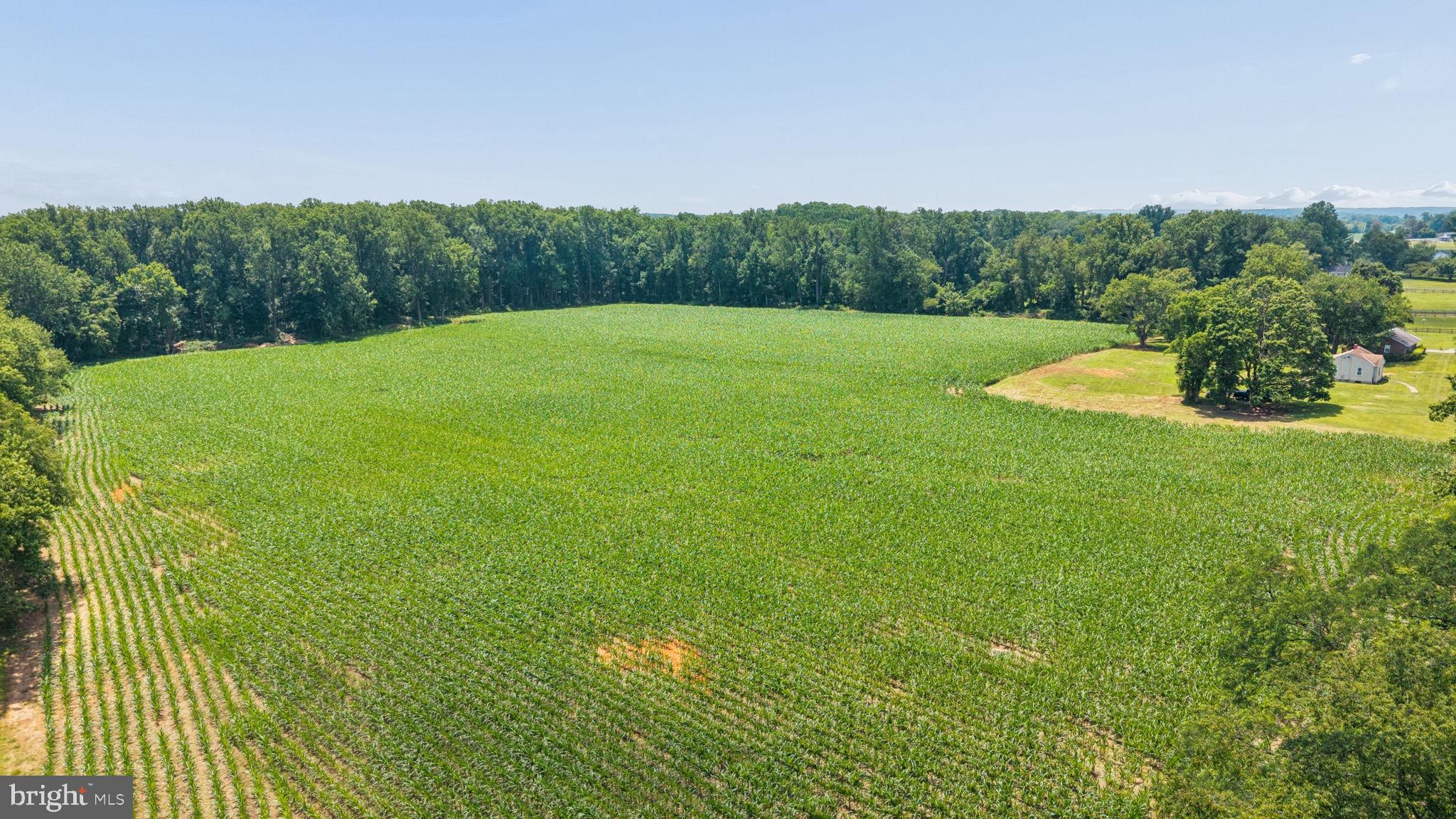 7219 New Cut Road Kingsville, MD 21087 - Photo 22 of 59 Gallery Image 22