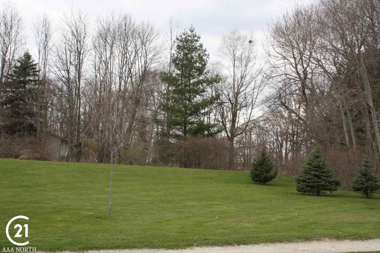 11725 Rynn Road Emmett, MI 48022 - Photo 25 of 33