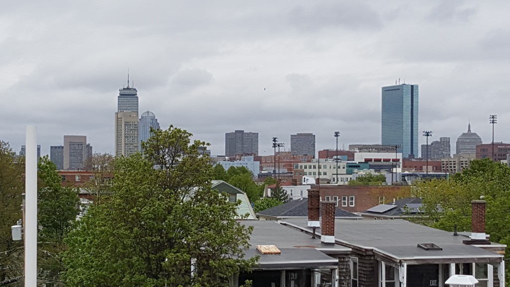 25 Robey Street, Unit 25 Boston, MA 02119 - Photo 1 of 13 a view of city with tall buildings