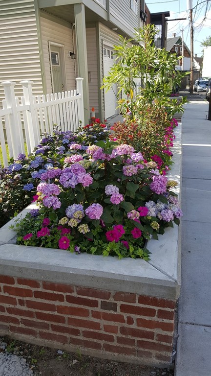 25 Robey Street, Unit 25 Boston, MA 02119 - Photo 13 of 13 a front view of a house
