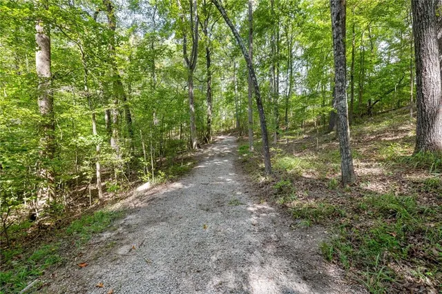 $1,975,000 | 3608 Sunflower Drive, Buford, GA 30519