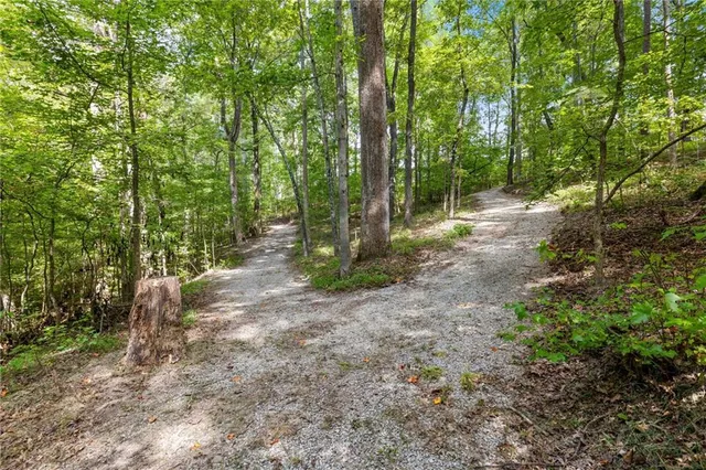 $1,975,000 | 3608 Sunflower Drive, Buford, GA 30519