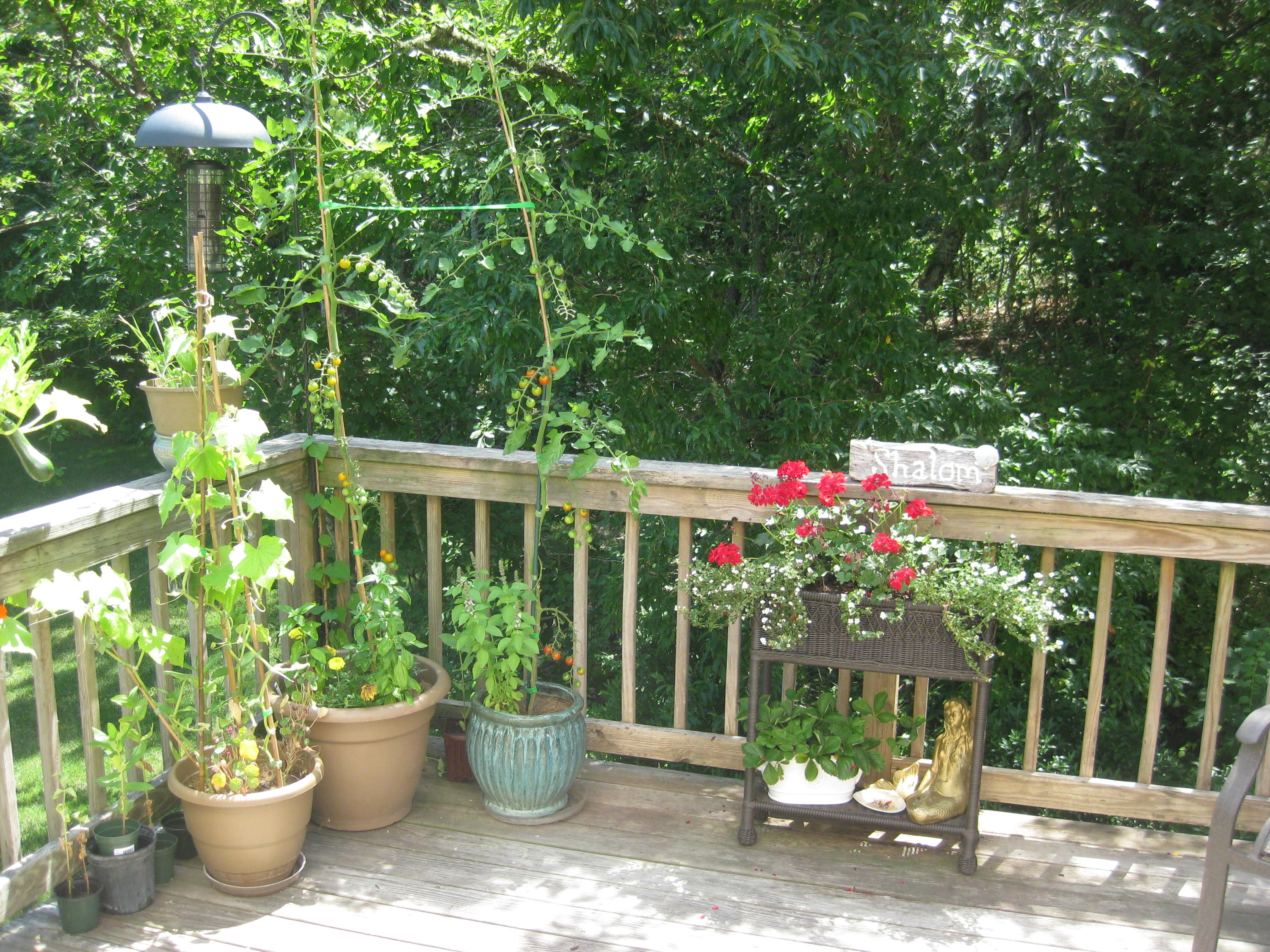 46-a B Standish Road Sagamore Beach, MA 02562 - Photo 11 of 31 a front view of a house with porch