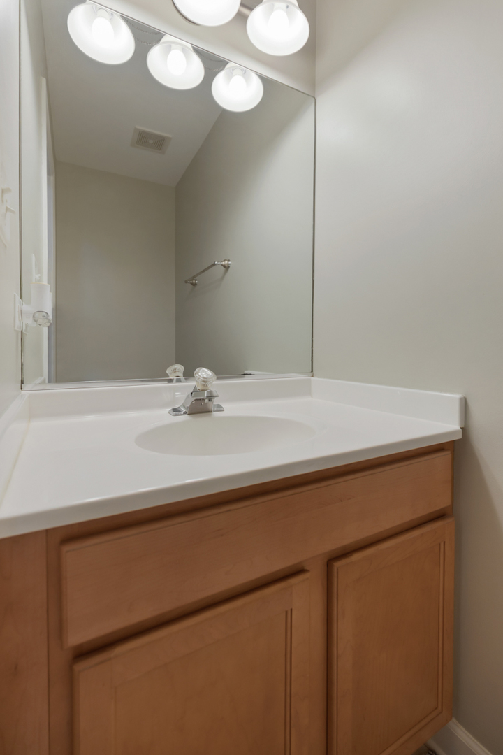 24854 Buttercup Lane Manhattan, IL 60442 - Photo 32 of 36 a bathroom with a sink and a mirror