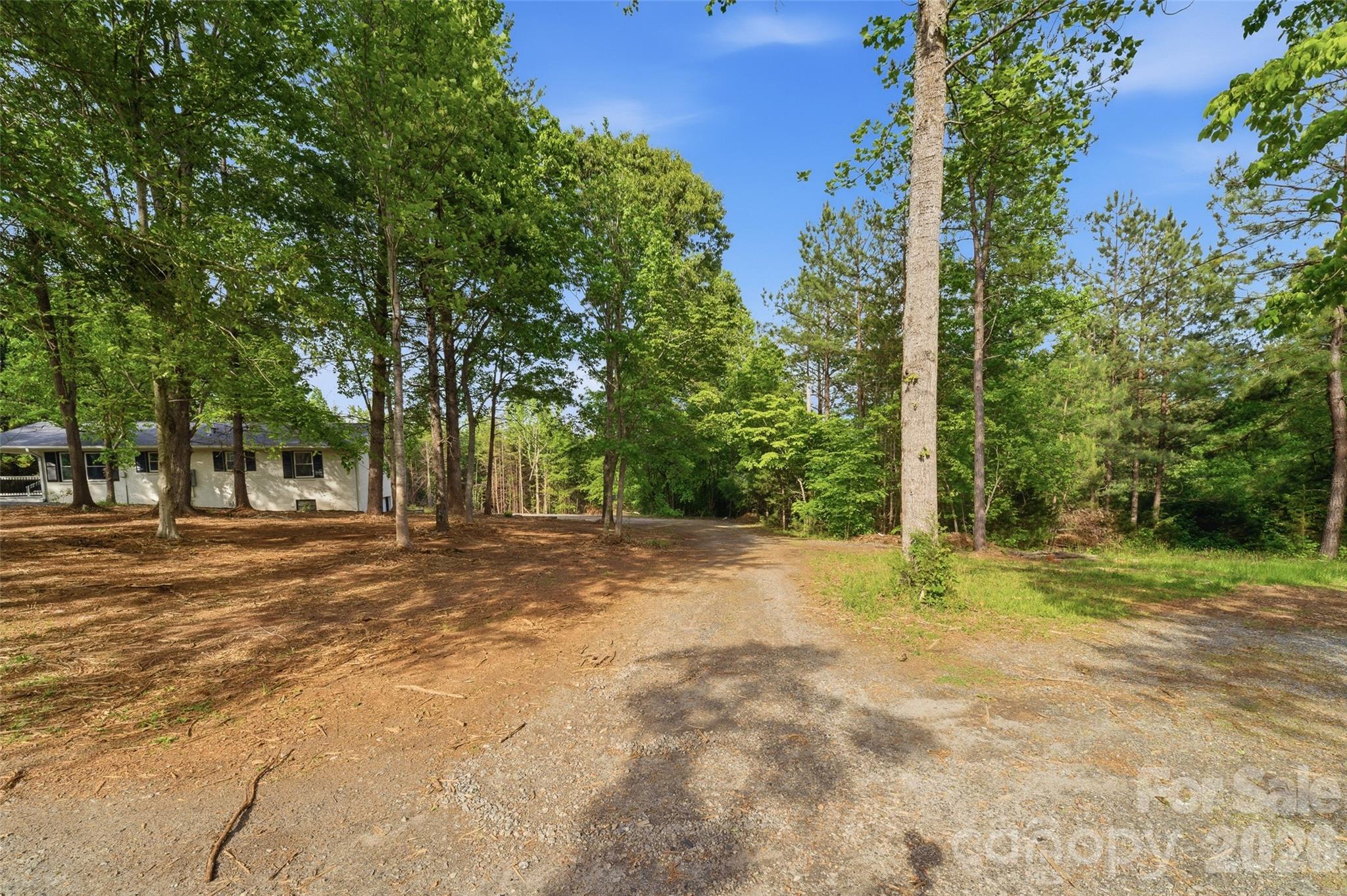 1335 Little Mountain Road Columbus, NC 28722 - Photo 37 of 46
