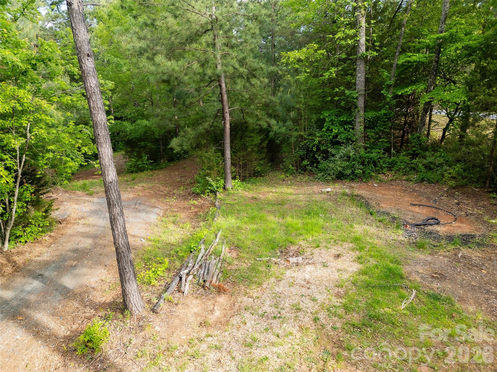 1335 Little Mountain Road Columbus, NC 28722 - Photo 38 of 46