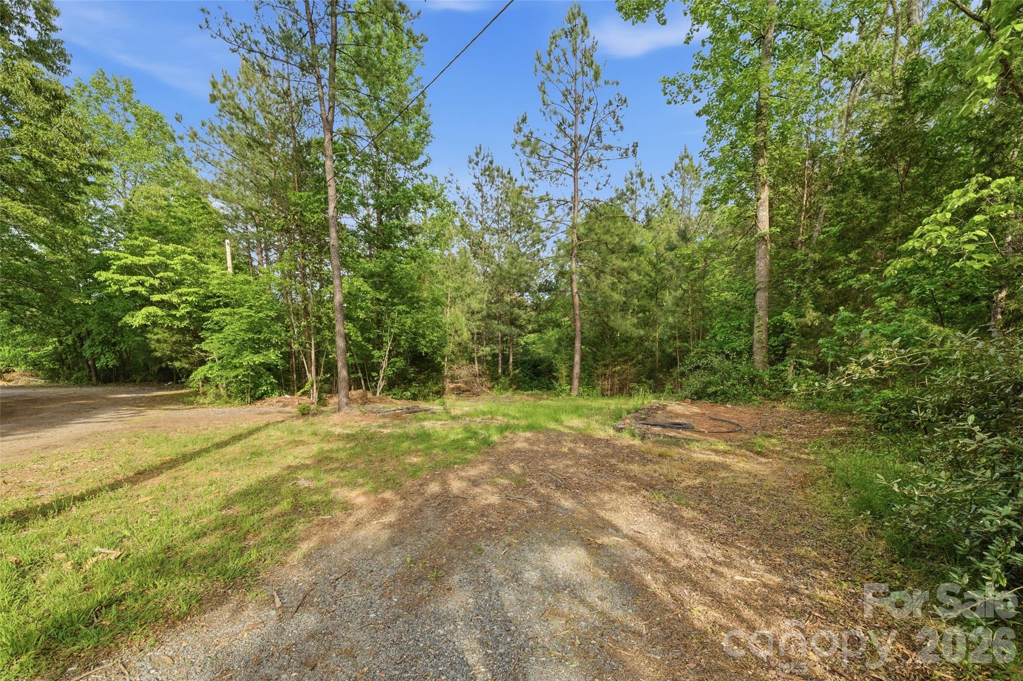 1335 Little Mountain Road Columbus, NC 28722 - Photo 39 of 46