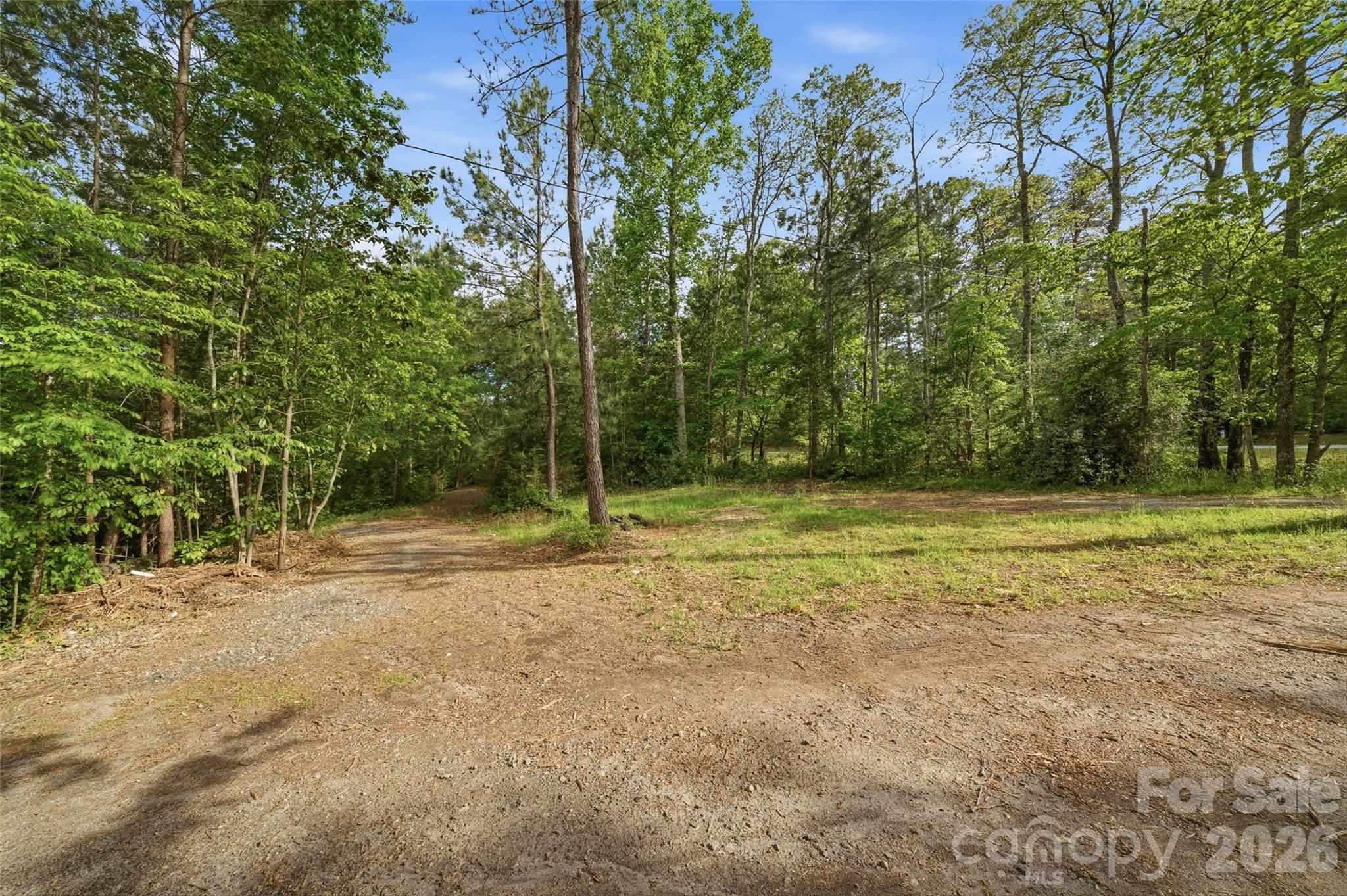 1335 Little Mountain Road Columbus, NC 28722 - Photo 40 of 46