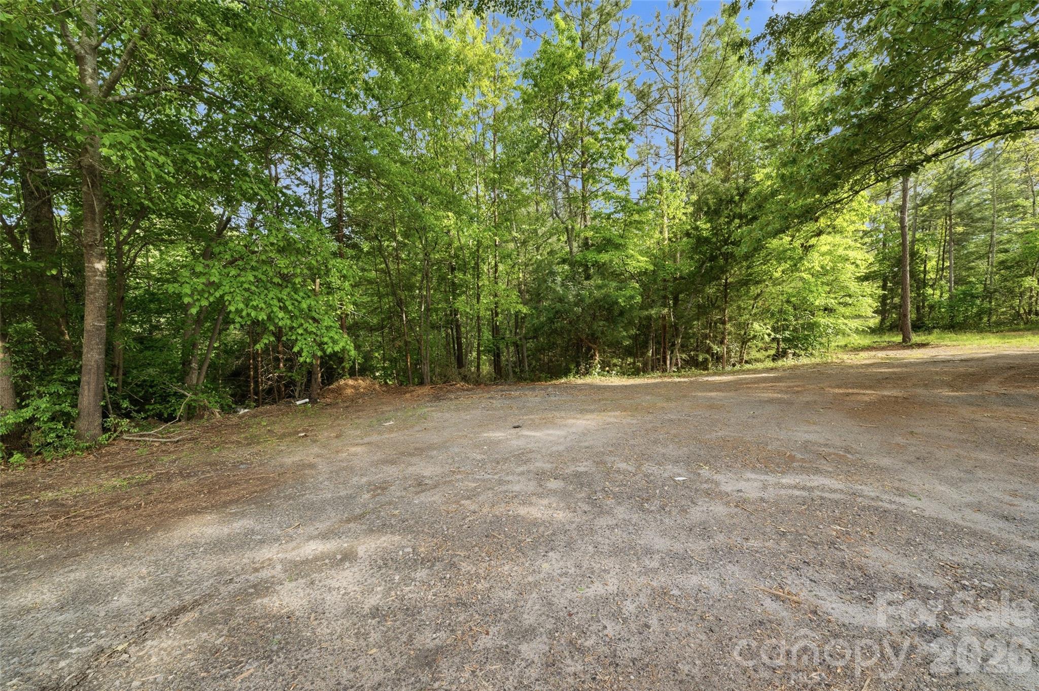 1335 Little Mountain Road Columbus, NC 28722 - Photo 41 of 46
