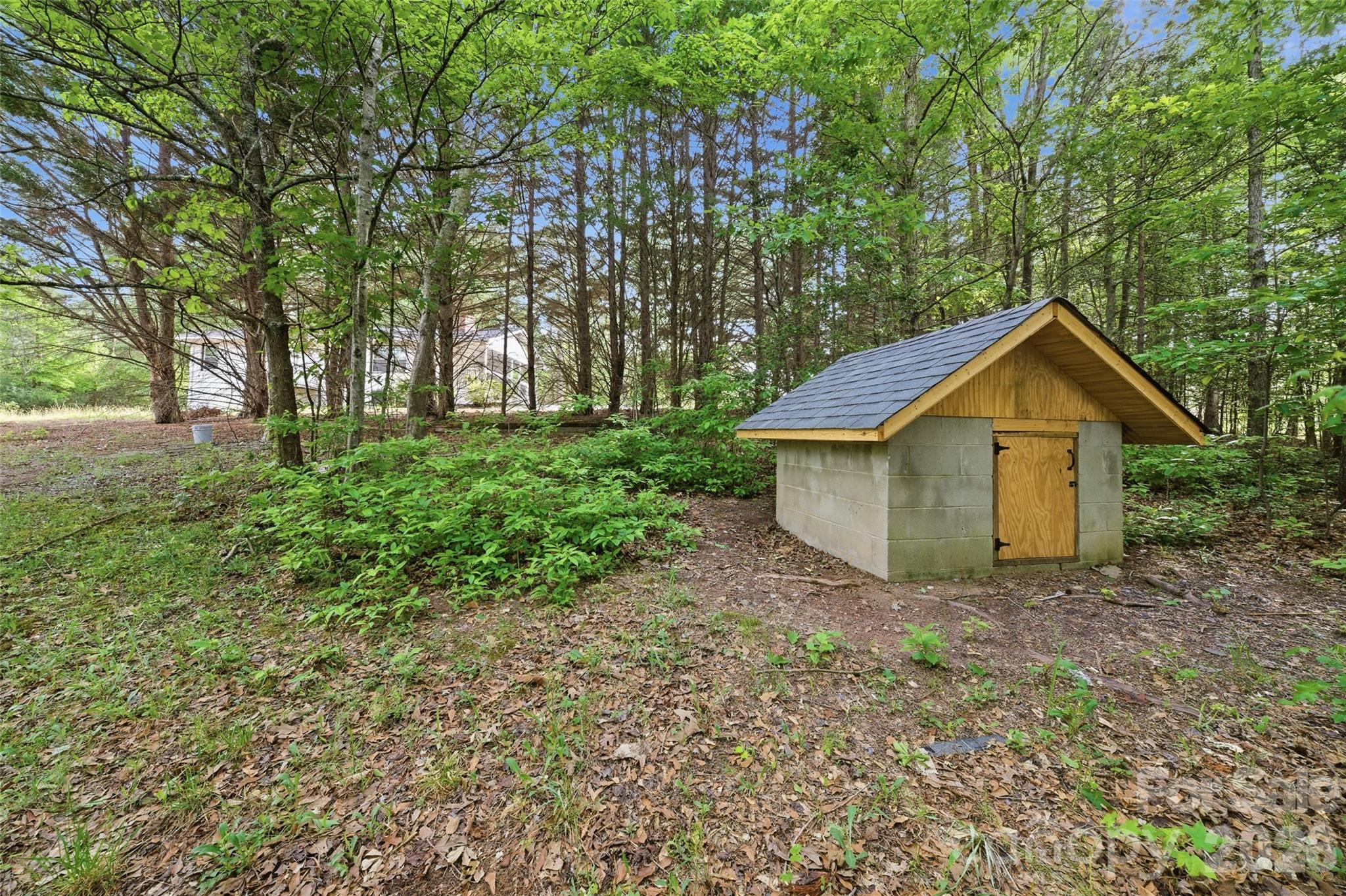 1335 Little Mountain Road Columbus, NC 28722 - Photo 42 of 46