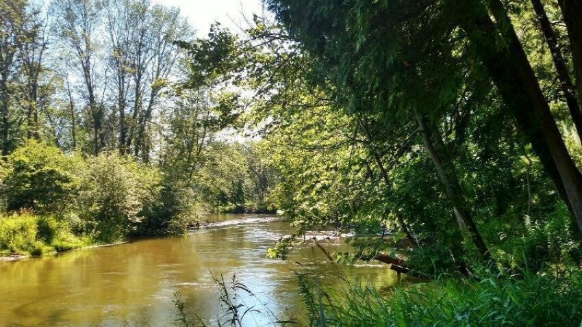 6655 East Barothy Road Branch, MI 49402 - Photo 13 of 27 pm river 2