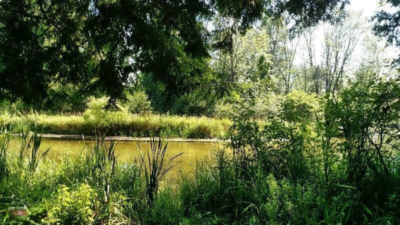 6655 East Barothy Road Branch, MI 49402 - Photo 14 of 27 PM river 1