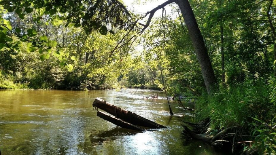 6655 East Barothy Road Branch, MI 49402 - Photo 15 of 27 pm river3