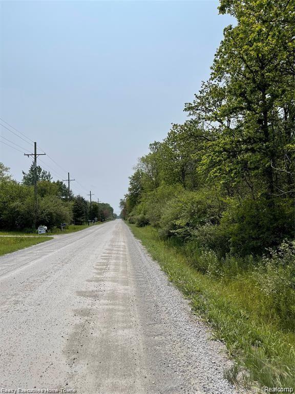 0 Rabidue Road North Street, MI 48049 - Photo 1 of 6