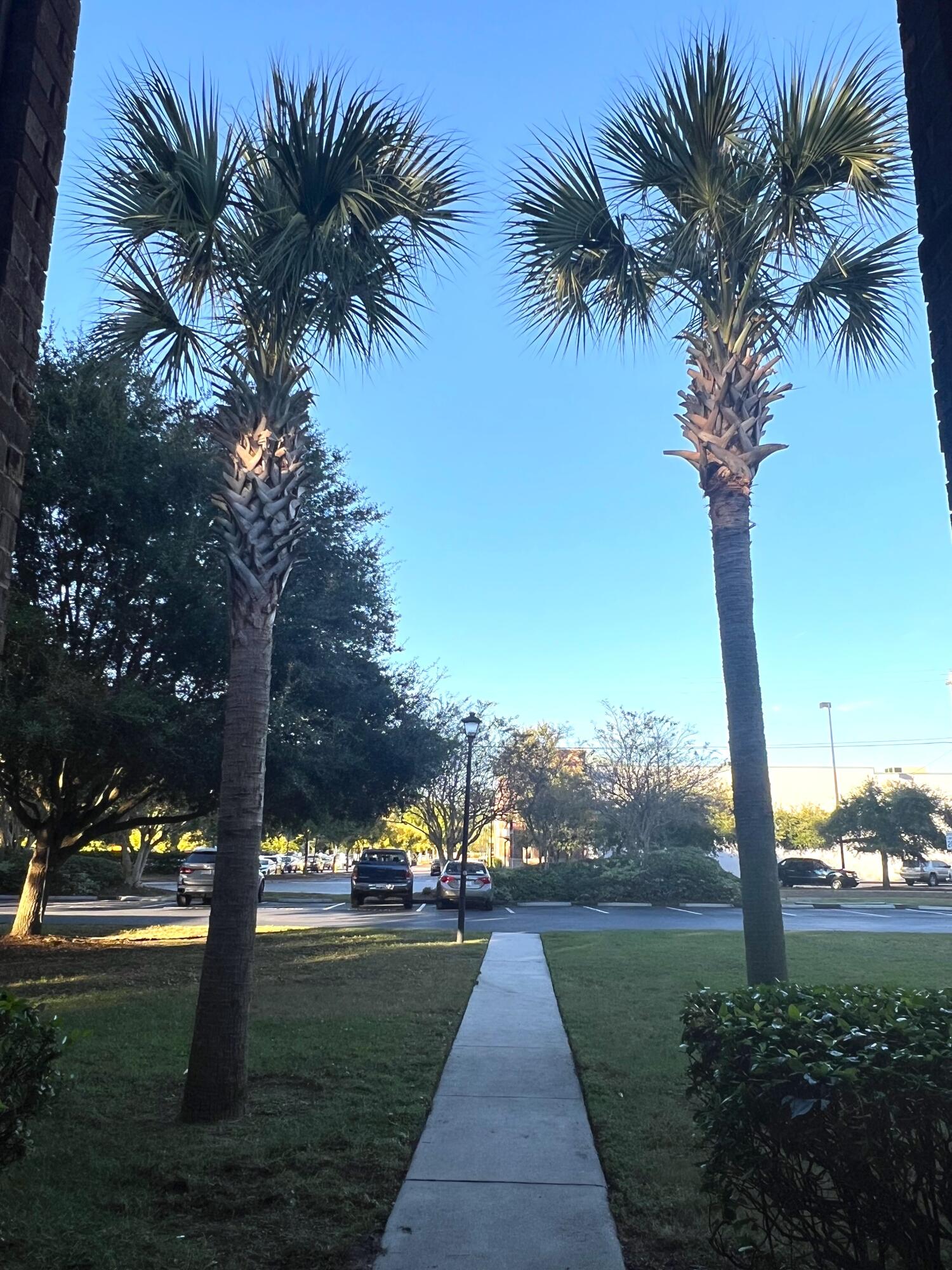 21 Rivers Point Row, Unit 5A Charleston, SC 29412 - Photo 22 of 23 IMG_5886