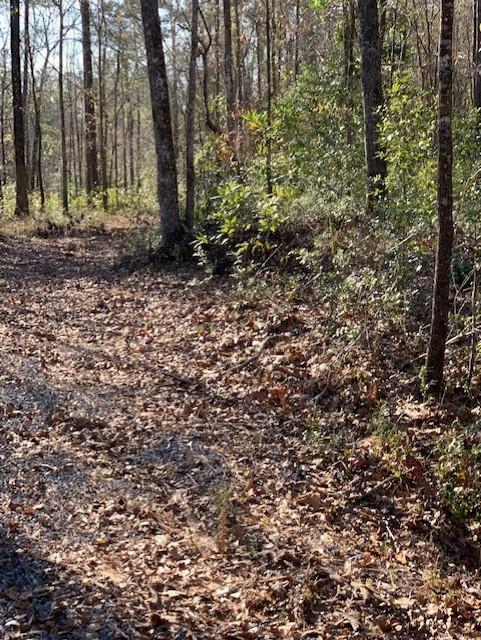 10155 Old Georgetown Road McClellanville, SC 29458 - Photo 3 of 10 thumbnail_IMG_0921(1)