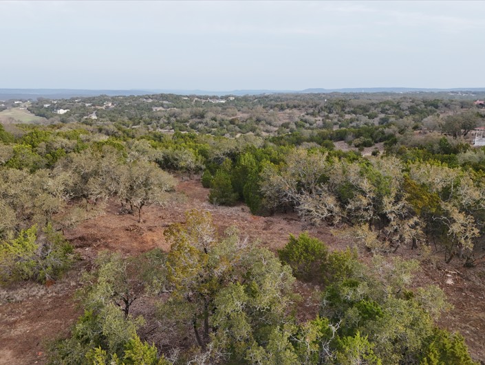 20114 Victoria Chase Leander, TX 78645 - Photo 12 of 14 Bird's eye view of a forest