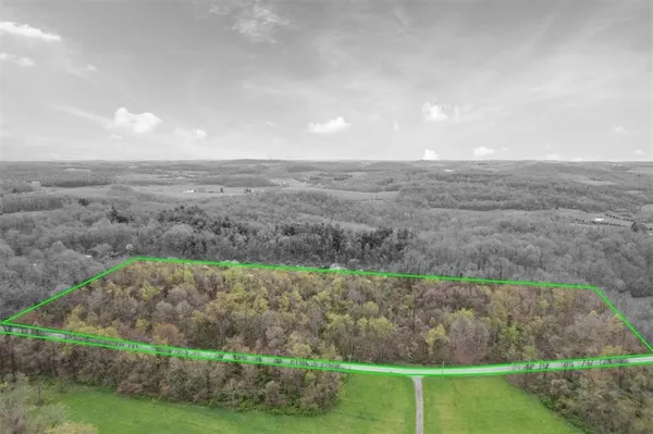 a view of a yard with an outdoor space