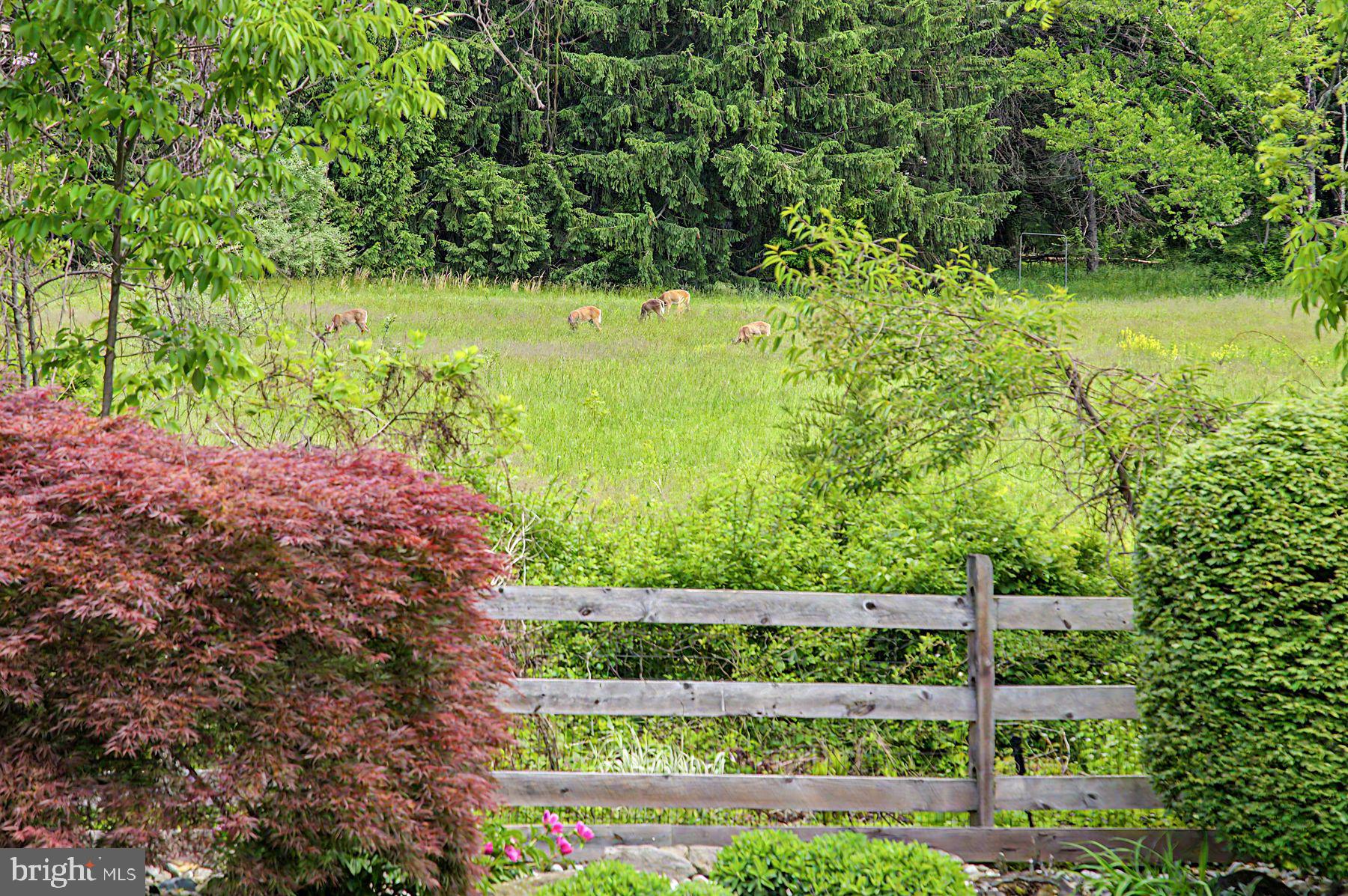 4009 Smoke Road Doylestown, PA 18902 - Photo 50 of 52 a view of a garden with a bench