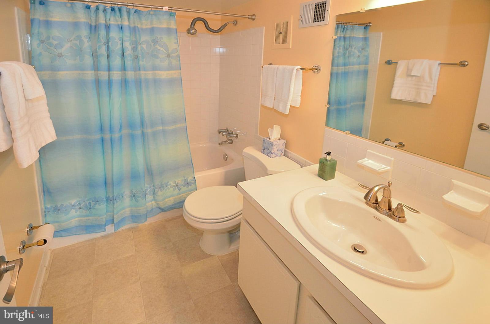 5942 Seabright Road Springfield, VA 22152 - Photo 15 of 24 Bath (Master)